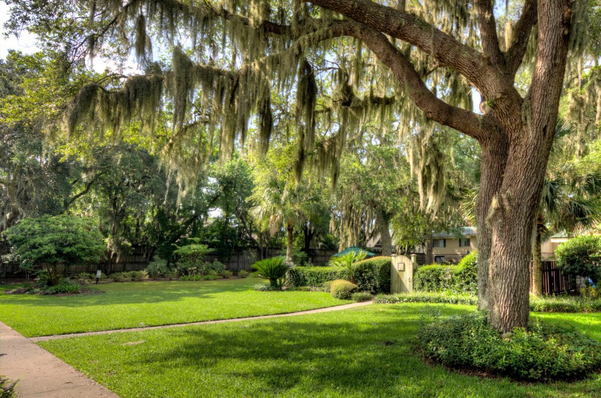 Turtle Cove- 2 Bedroom 1 And A Half Bathrooms St. Simons Island Экстерьер фото
